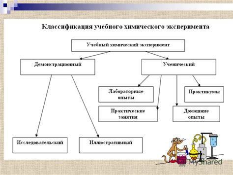 Примеры использования метода эксперимента