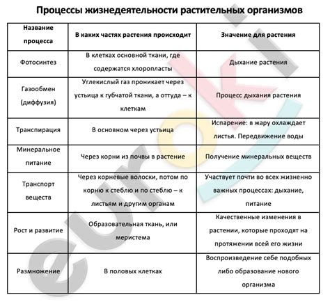 Примеры процессов жизнедеятельности