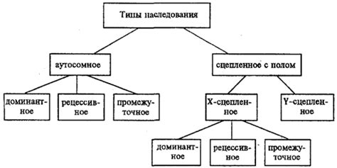 Примеры характера наследования признаков