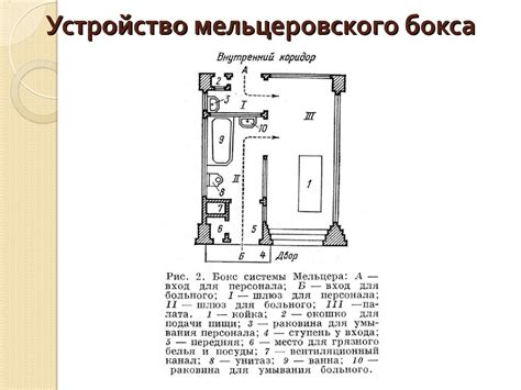 Принципы Мельцеровского бокса: что его отличает от традиционного