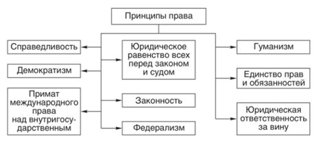 Принципы казуального права