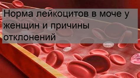 Причины повышенных уровней микроцитов