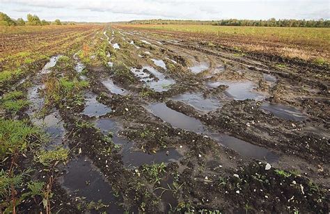 Проблема загрязнения почвы