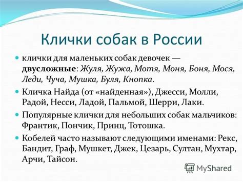 Происхождение клички Лаки