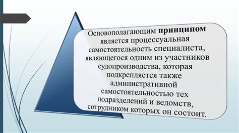 Процессуальный статус: что это такое и почему он важен