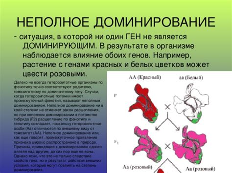 Проявление доминирования