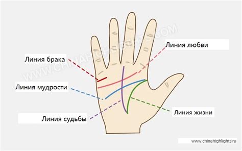 Психологическое значение маленьких рук у мужчины