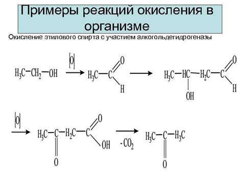 Разложение этилового спирта в организме и выделение ацетона