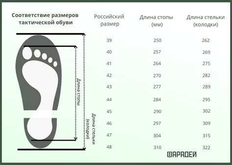 Размеры обуви и их соответствие