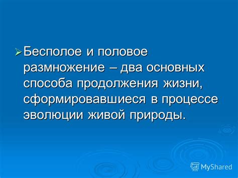 Размножение: гарантия продолжения жизни