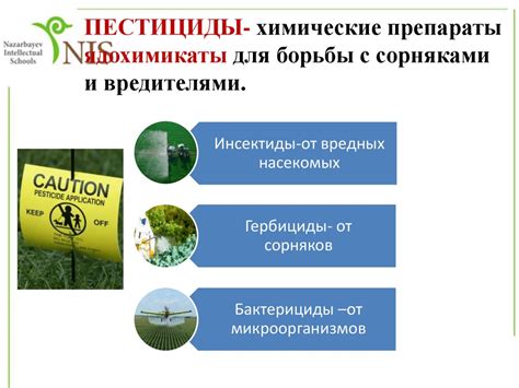 Растительный мир реки Хопер: особенности и влияние на окружающую среду