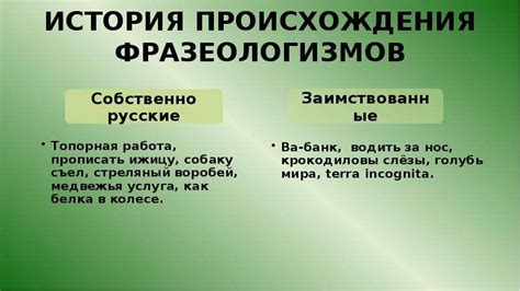 Роль фразеологизма "полный вперед" в современной коммуникации