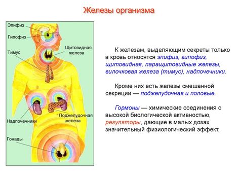 Роль эндокринной системы и гормональный дисбаланс