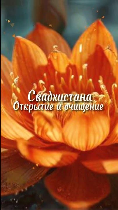 Свадхистана 99 процентов: понятие и его влияние на жизнь