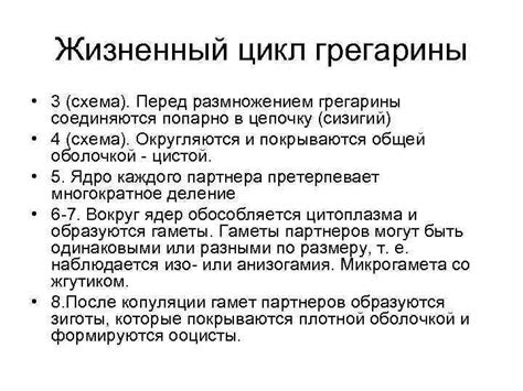 Свободноживущие простейшие: основные понятия и значения