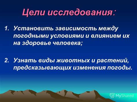 Связь между "мокрым вилли" и погодными условиями