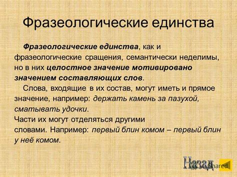 Синтаксическая и грамматическая структура фразеологизма «иметь значение»