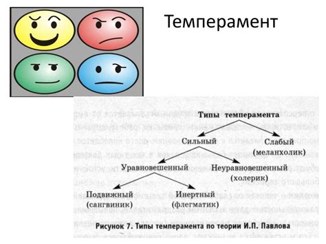 Смысл и значение пустого темперамента