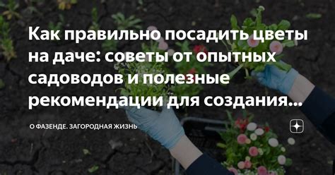 Советы и рекомендации опытных садоводов