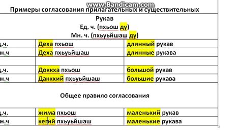 Согласование прилагательных по роду и числу с существительными