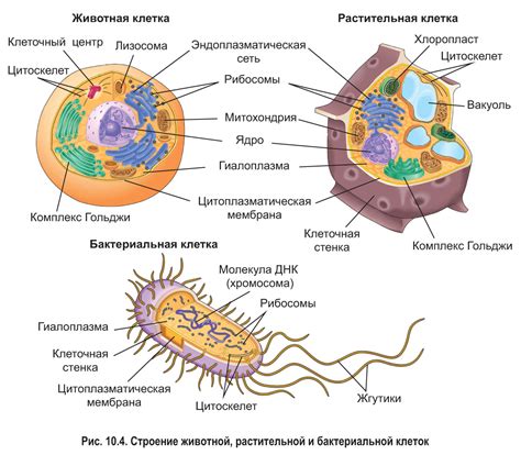 Соседние клетки могут иметь различные значения