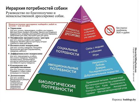 Социальные и эмоциональные преимущества