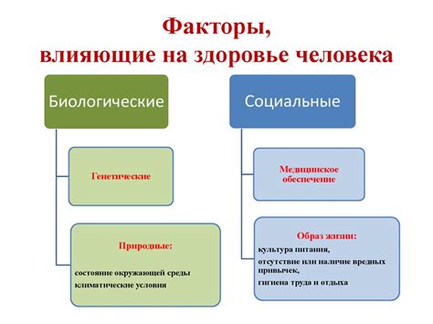 Социальные факторы, влияющие на применение слова "буся"