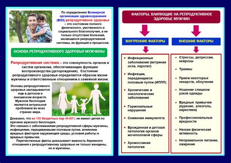 Социокультурные факторы, влияющие на действия мужчин