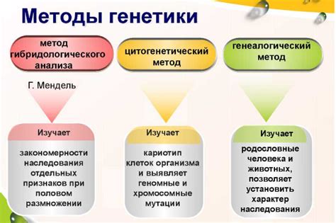 Сочетание генетических и окружающих факторов