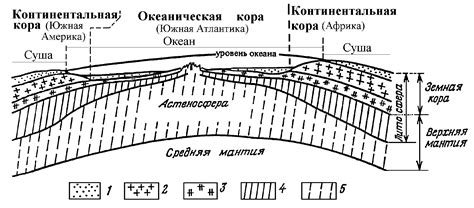 Структура безъядерных чешуйок