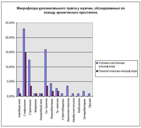 Сумма нормофлоры в организме мужчин: значение и важность