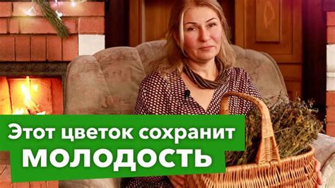 Татуировка вечной молодости: интерпретация и польза