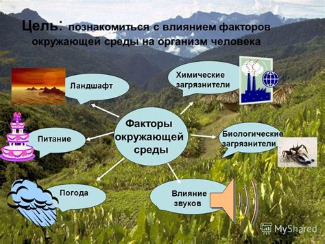 Технические неполадки и природные факторы