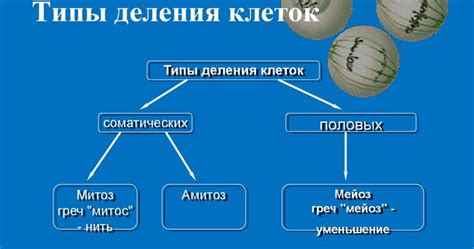 Типы клеточного детрита