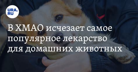 Узнайте, откуда пошло это популярное имя для домашних животных