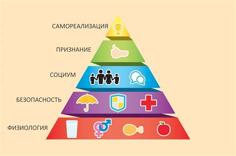 Физиологические причины потребности в питье