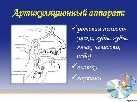 Физиологические причины рыгания