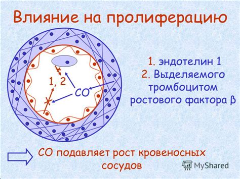 Физиологическое объяснение пигментации