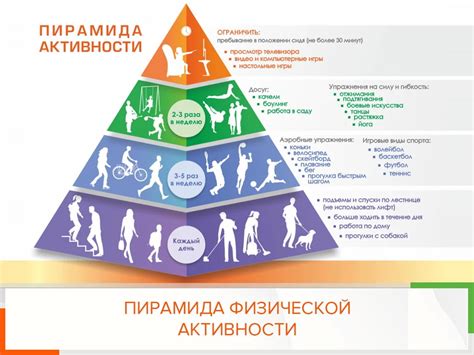 Физическое здоровье и спортивная активность