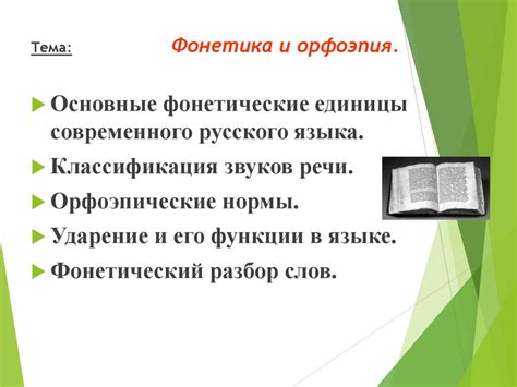 Фонетические единицы и их отношение к смыслу