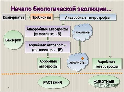 Формирование и эволюция