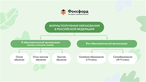 Формы обучения в частных учреждениях