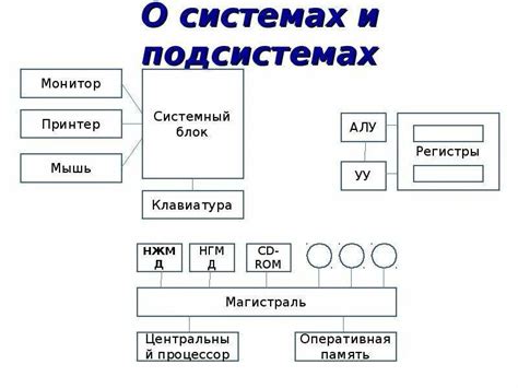 Функциональная подсистема: определение, особенности, примеры