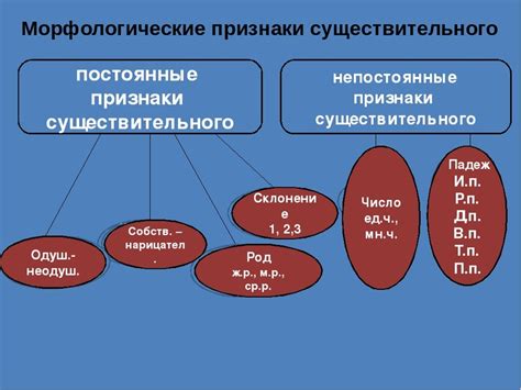 Характеристика и признаки