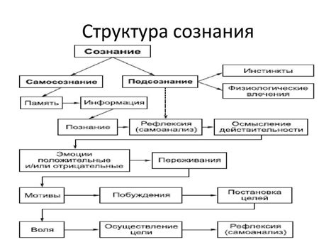 Характеристики плотного человека