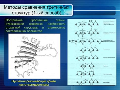 Характерные особенности вторичной структуры