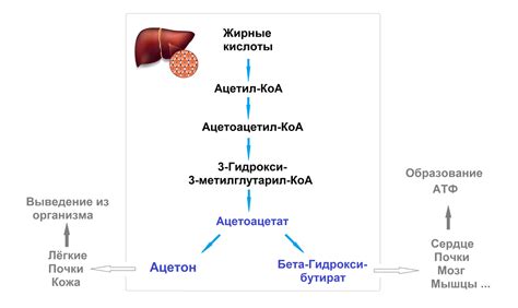 Четыре креста ацетона: причины