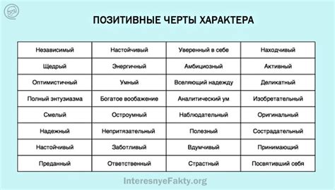 Что означает быть коткой: черты, особенности и преимущества