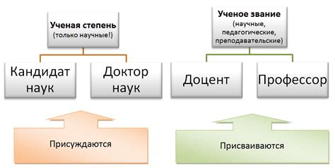 Что такое научные термины и почему они важны