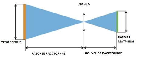 Что формирует расстояние между грудей: значение и влияние